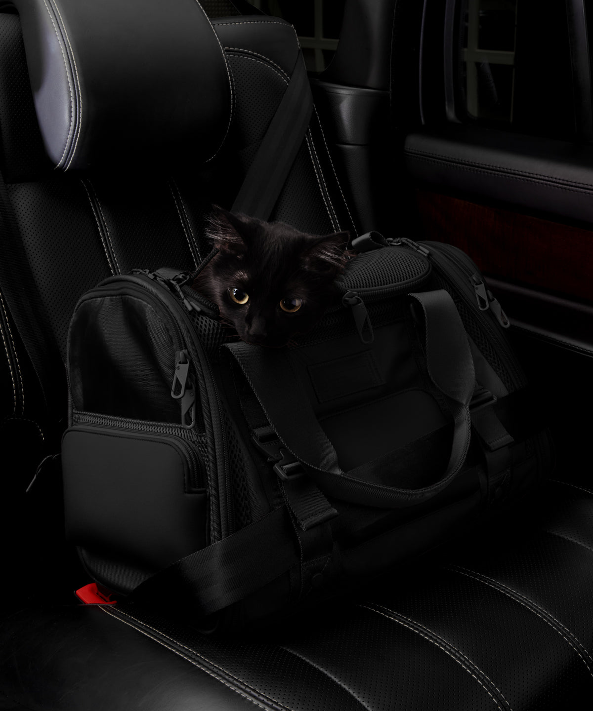 Kyoto Pet Carrier in Onyx. Small - Image 9